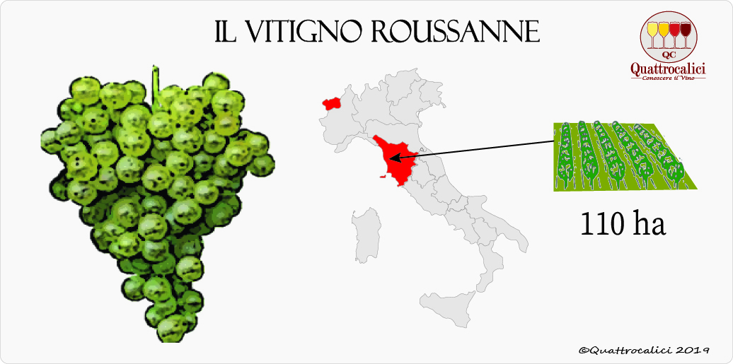 vitigno roussanne