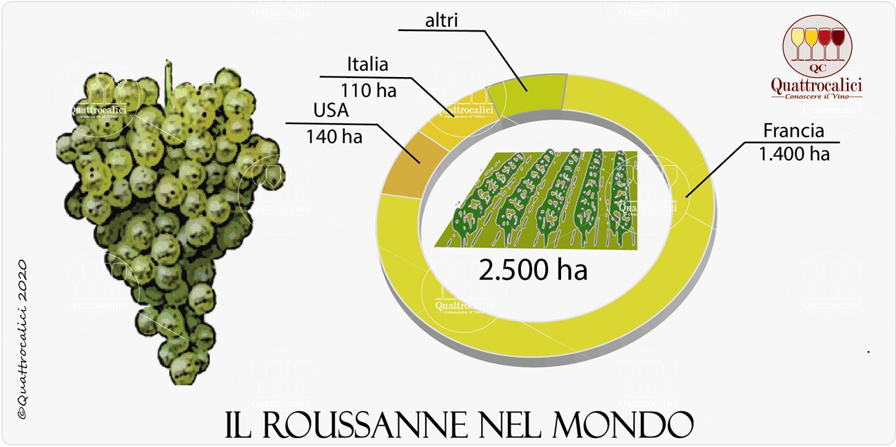il vitigno roussanne nel mondo