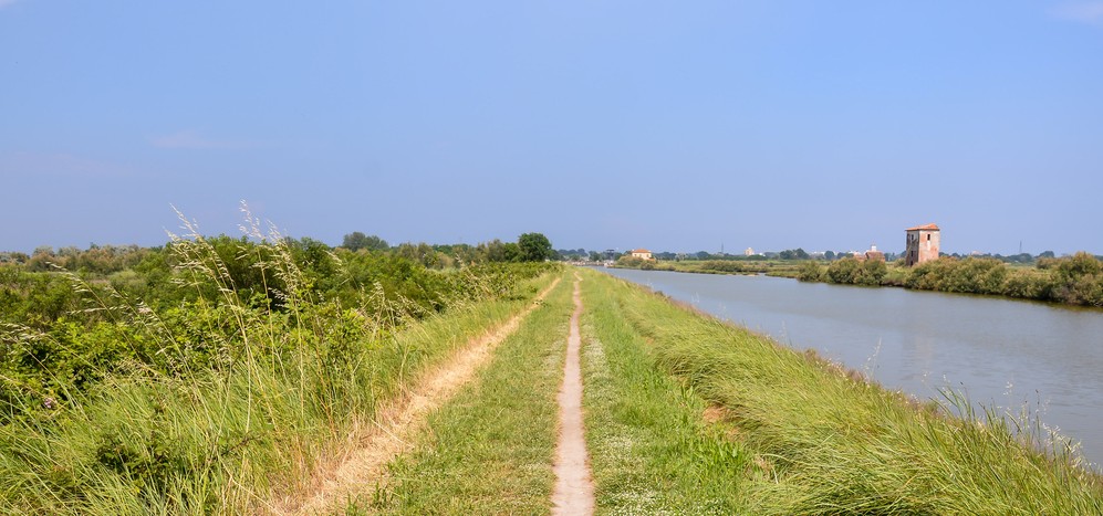 La provincia di Rovigo e il vino