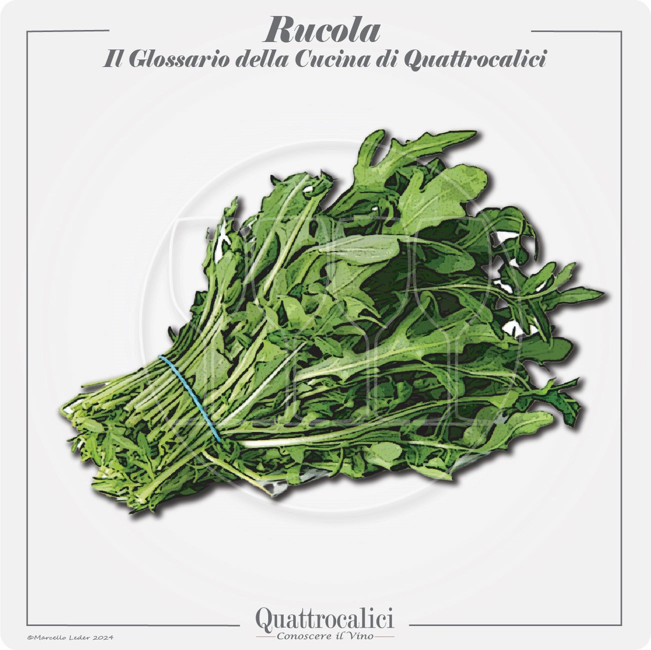 la rucola in cucina e con i vini