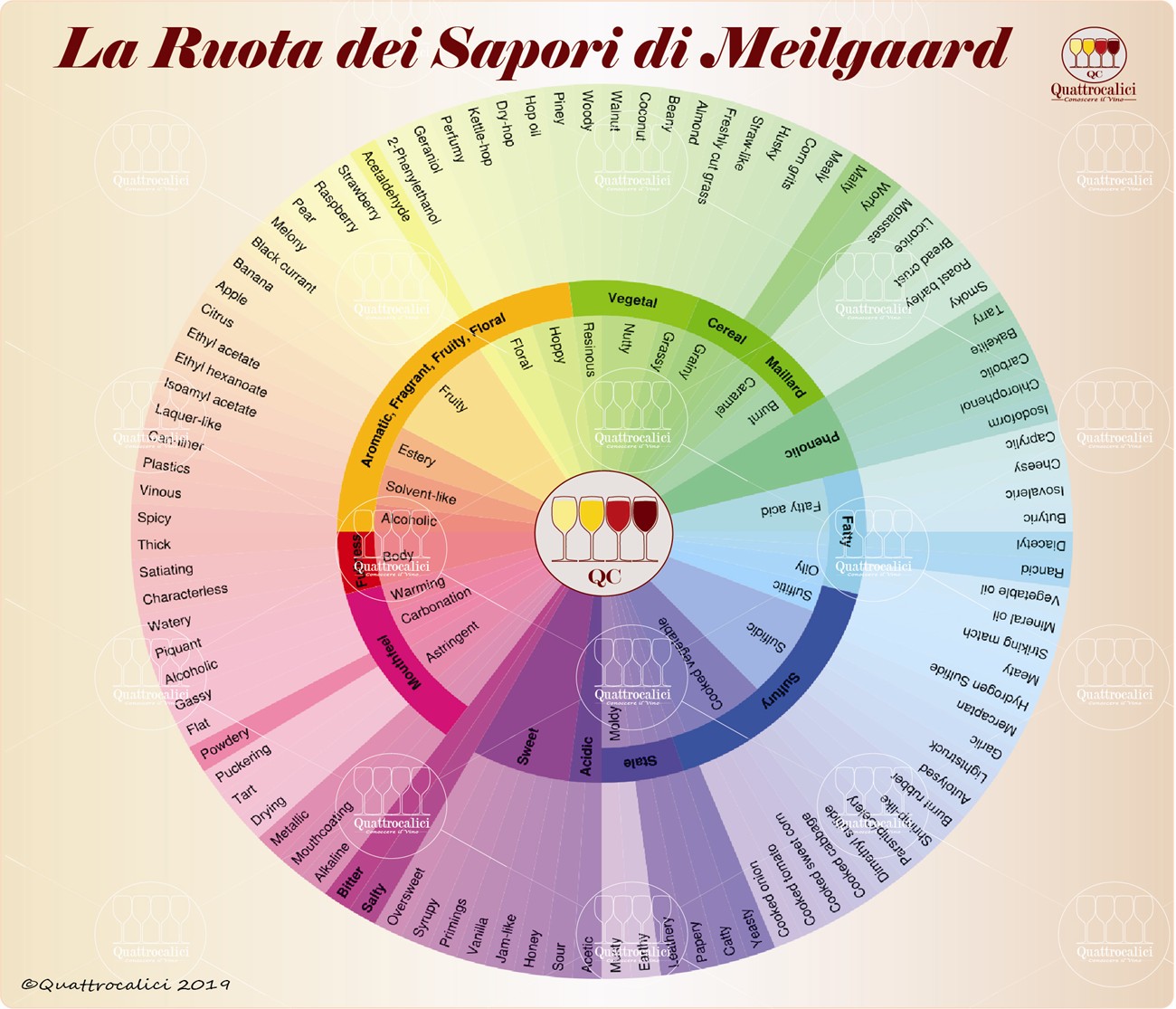 ruota-sapori-meilgaard