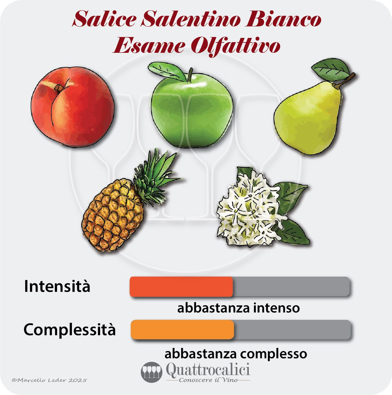 L'esame olfattivo del Salice Salentino Bianco