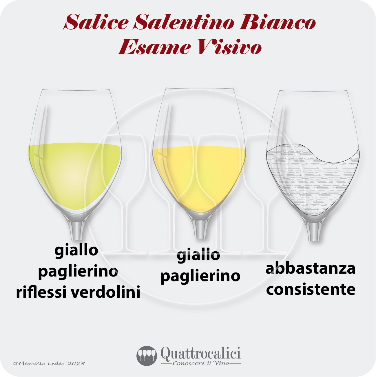 L'esame visivo del Salice Salentino Bianco