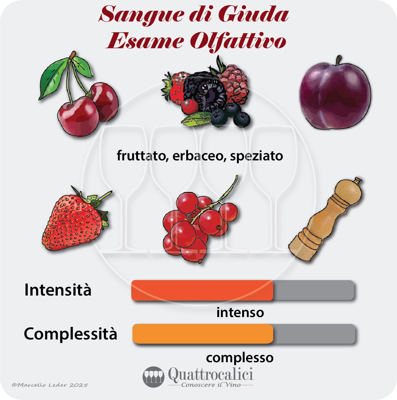 L'esame olfattivo del vino Sangue di Giuda