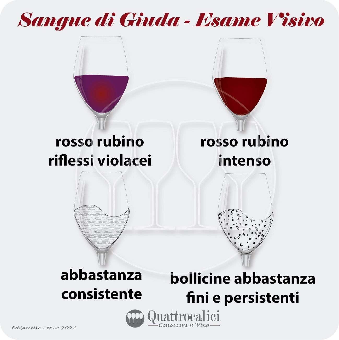 L'esame visivo del vino Sangue di Giuda