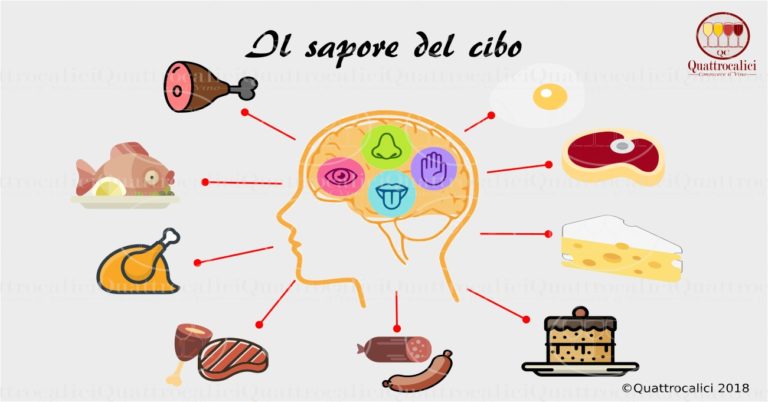 Il sapore del cibo