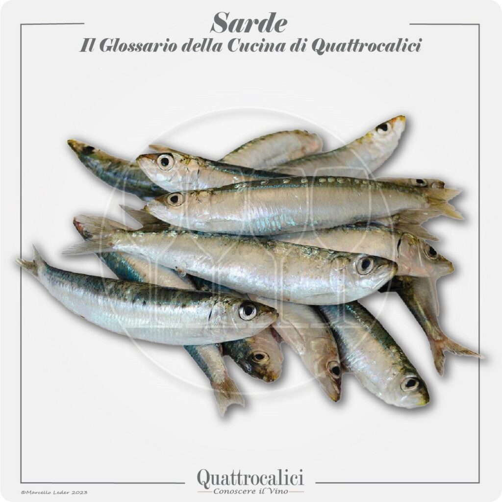 le sarde in cucina e con il vino