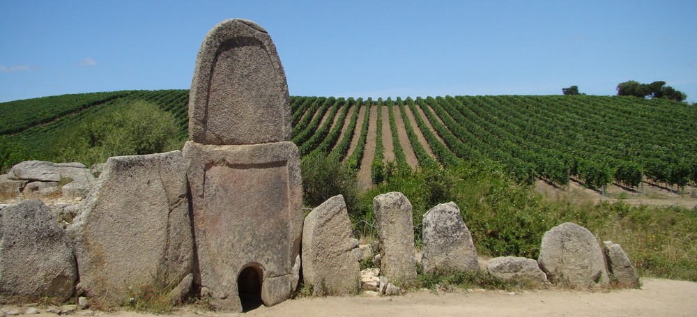 provincia sassari vino