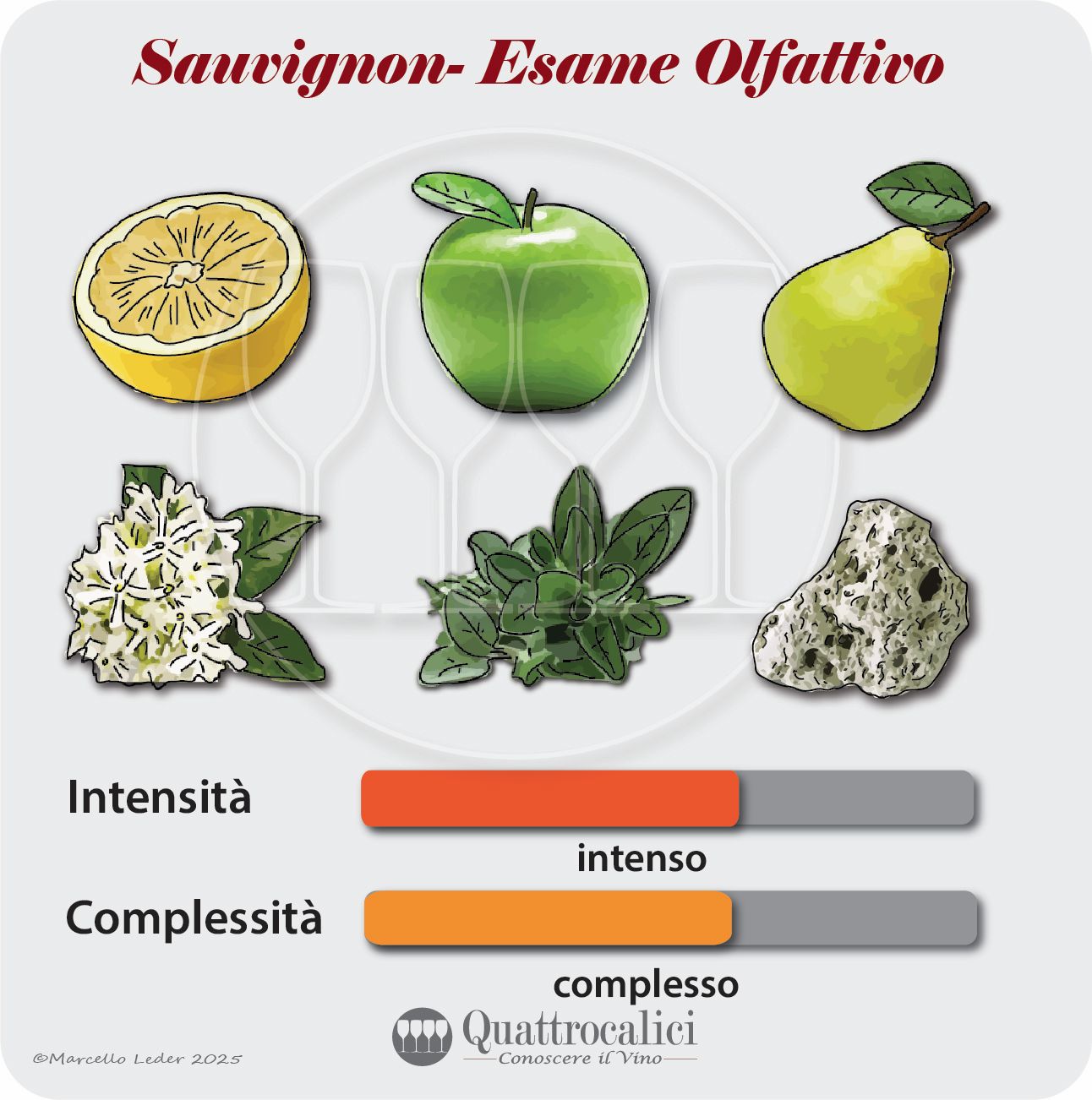 L'esame olfattivo dei vini Sauvignon