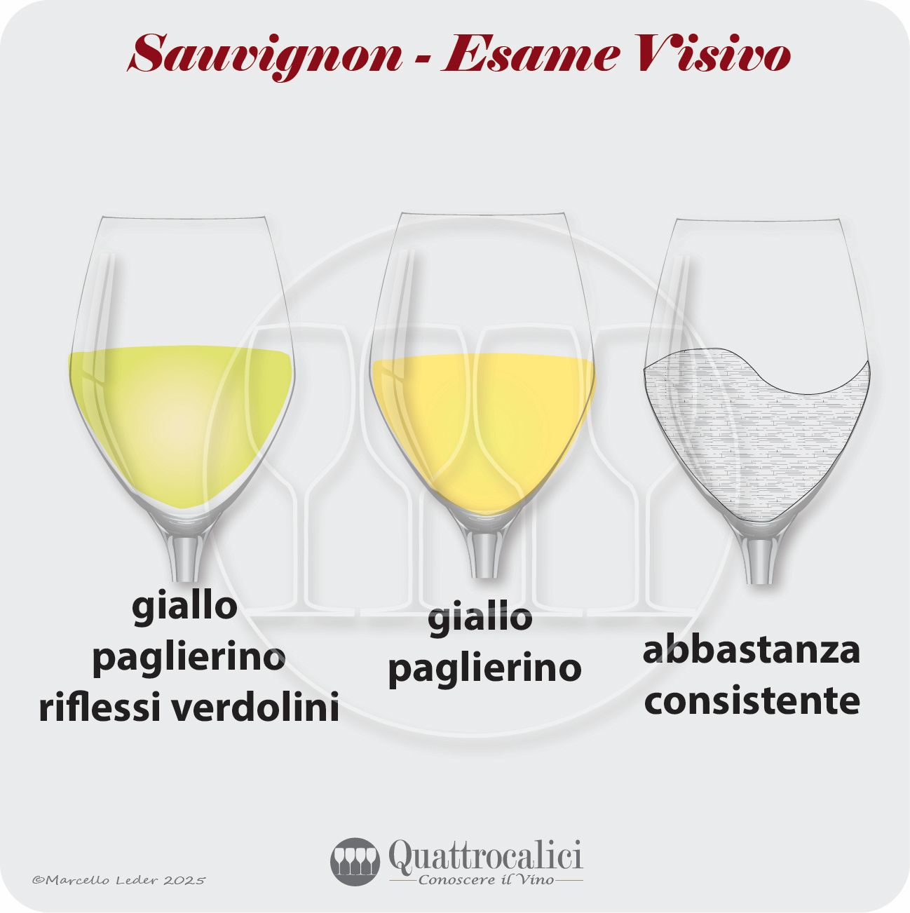 L'esame visivo dei vini Sauvignon