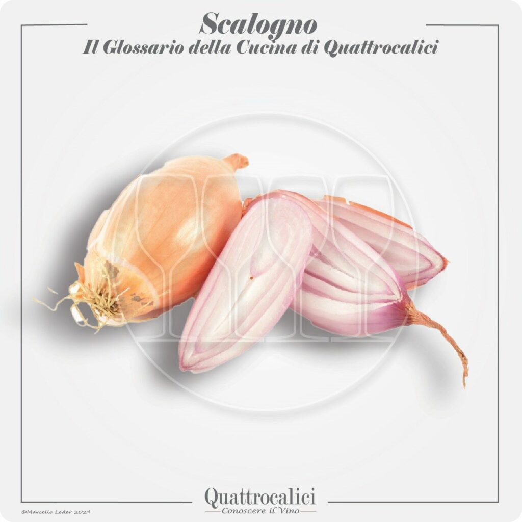 lo scalogno in cucina e con i vini