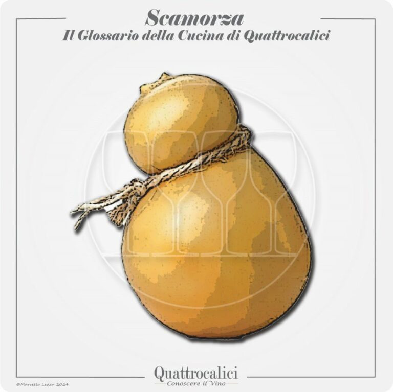 la scamorza e i suoi vini in abbinamento