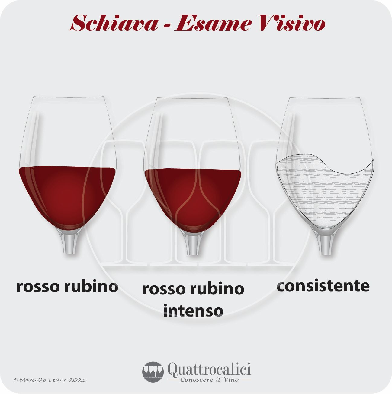 L'esame visivo dei vini Schiava