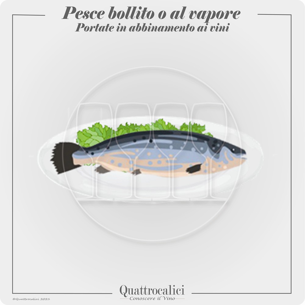 pesce bollito al vapore e vini in abbinamento