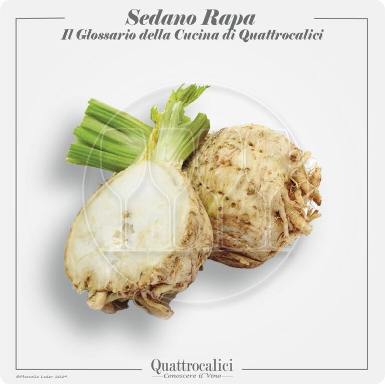 il sedano rapa in cucina e con i vini