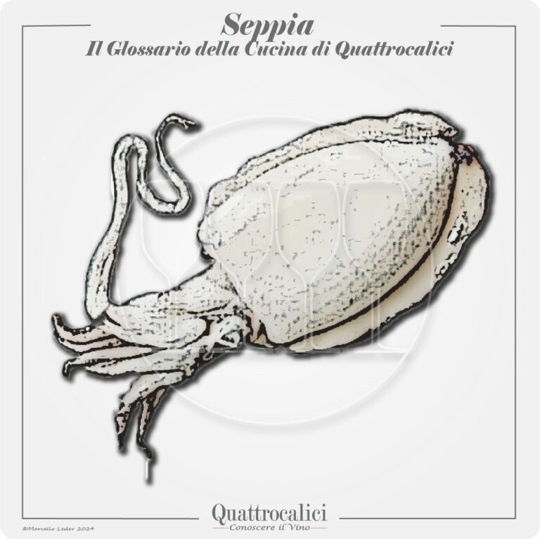 la seppia in cucina