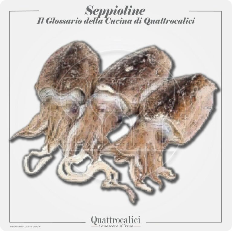 le seppioline in cucina