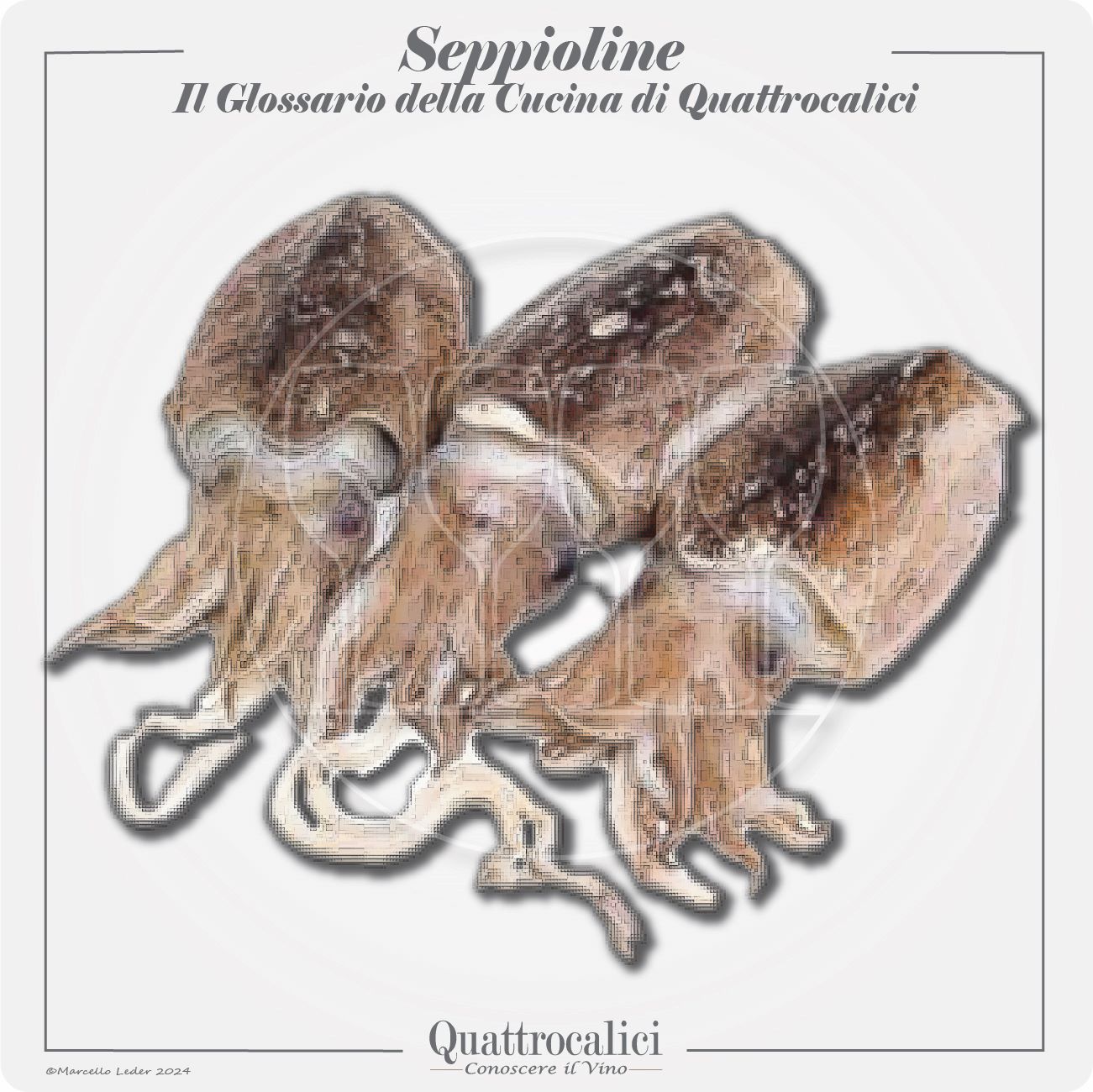 le seppioline in cucina