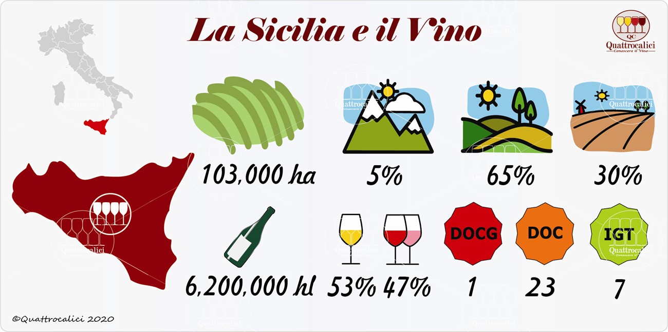 vino e vini in sicilia