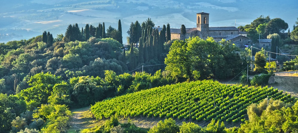 provincia siena vino