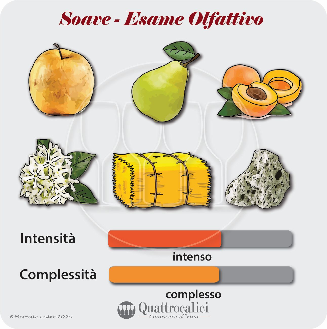 L'esame olfattivo dei vini Soave