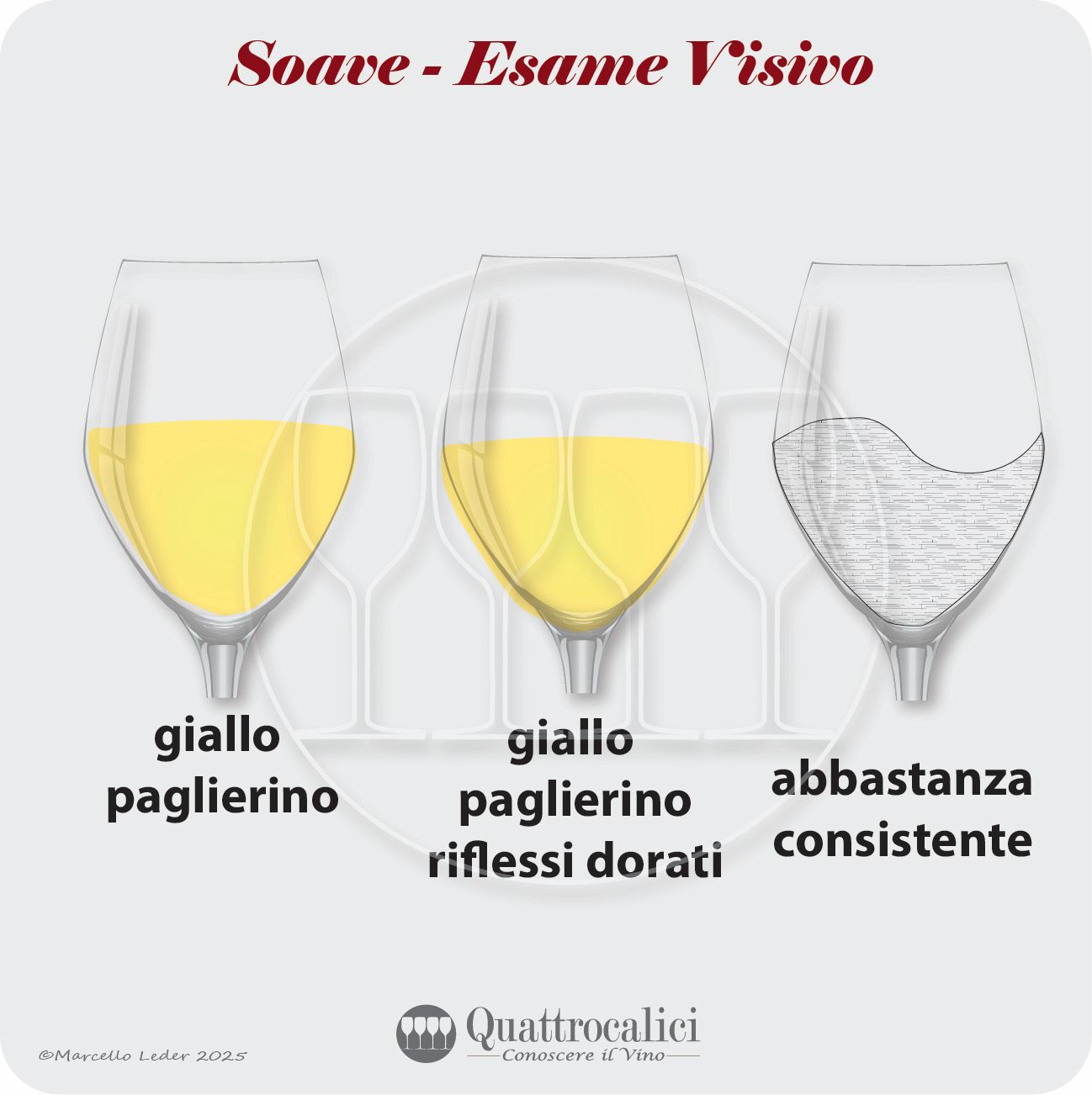 L'esame visivo dei vini Soave