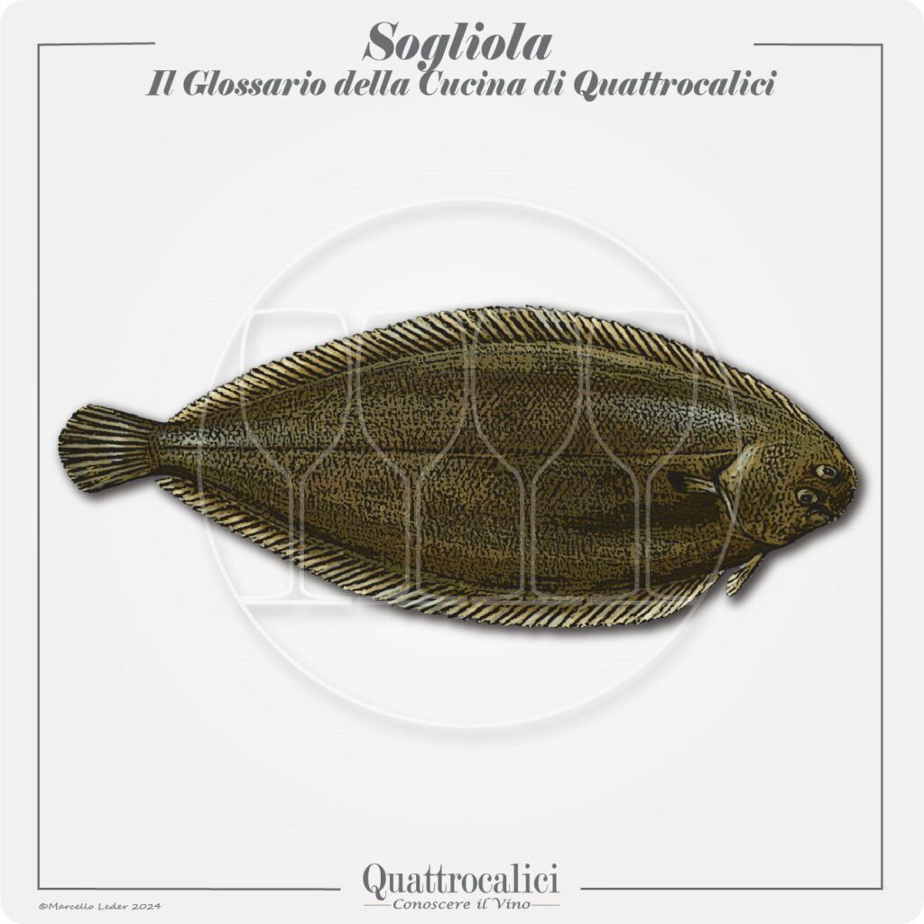 la sogliola in cucina e con il vino