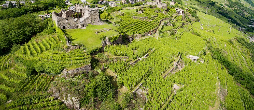 provincia sondrio vino