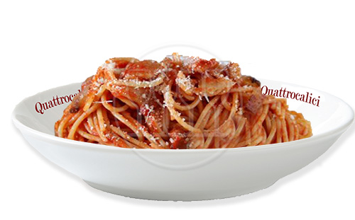 gli spaghetti amatriciana e i vini in abbinamento