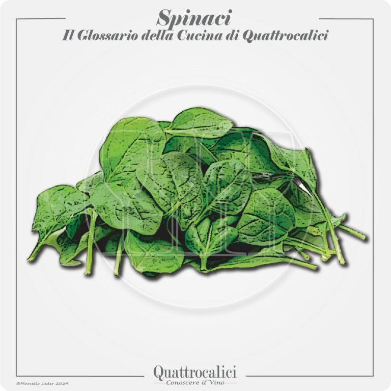 gli spinaci in cucina e con i vini