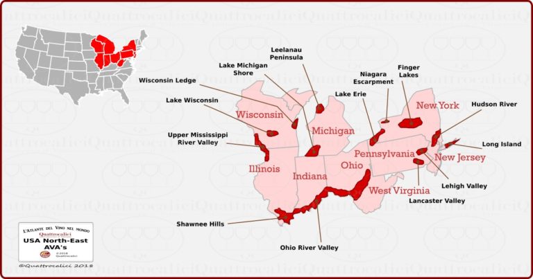 Il vino nel Nord-Est degli Stati Uniti