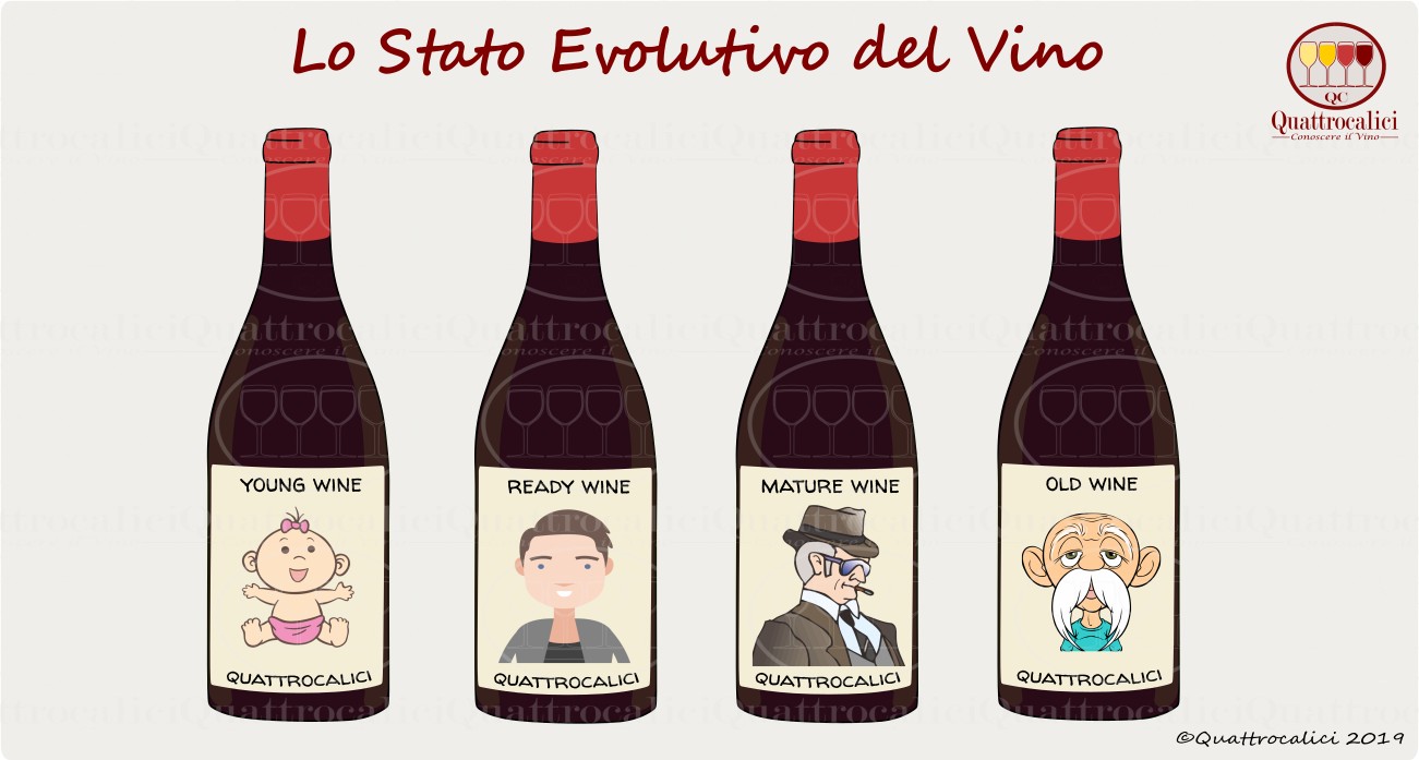 stato evolutivo del vino
