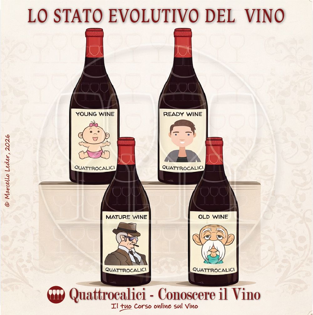 Lo stato evolutivo: l'età del vino