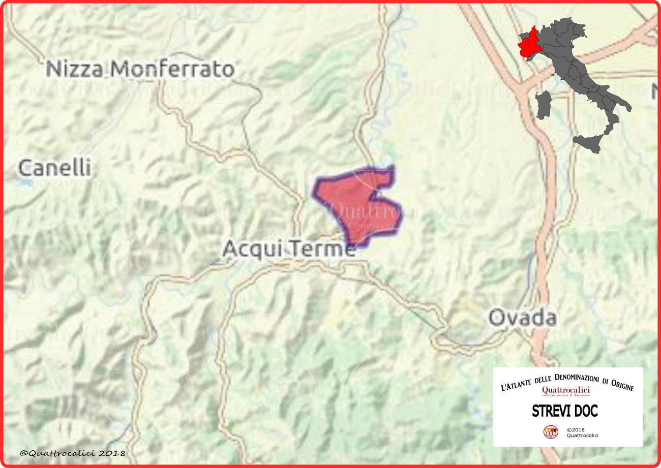 strevi-doc denominazione