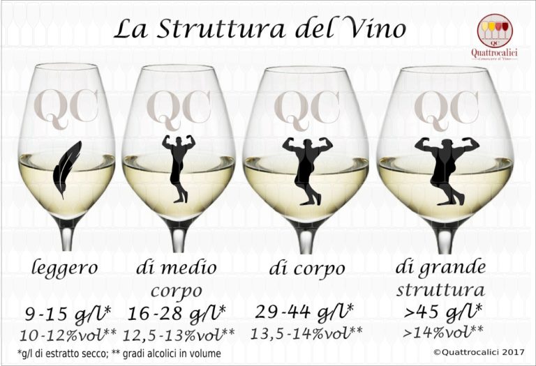 struttura vino