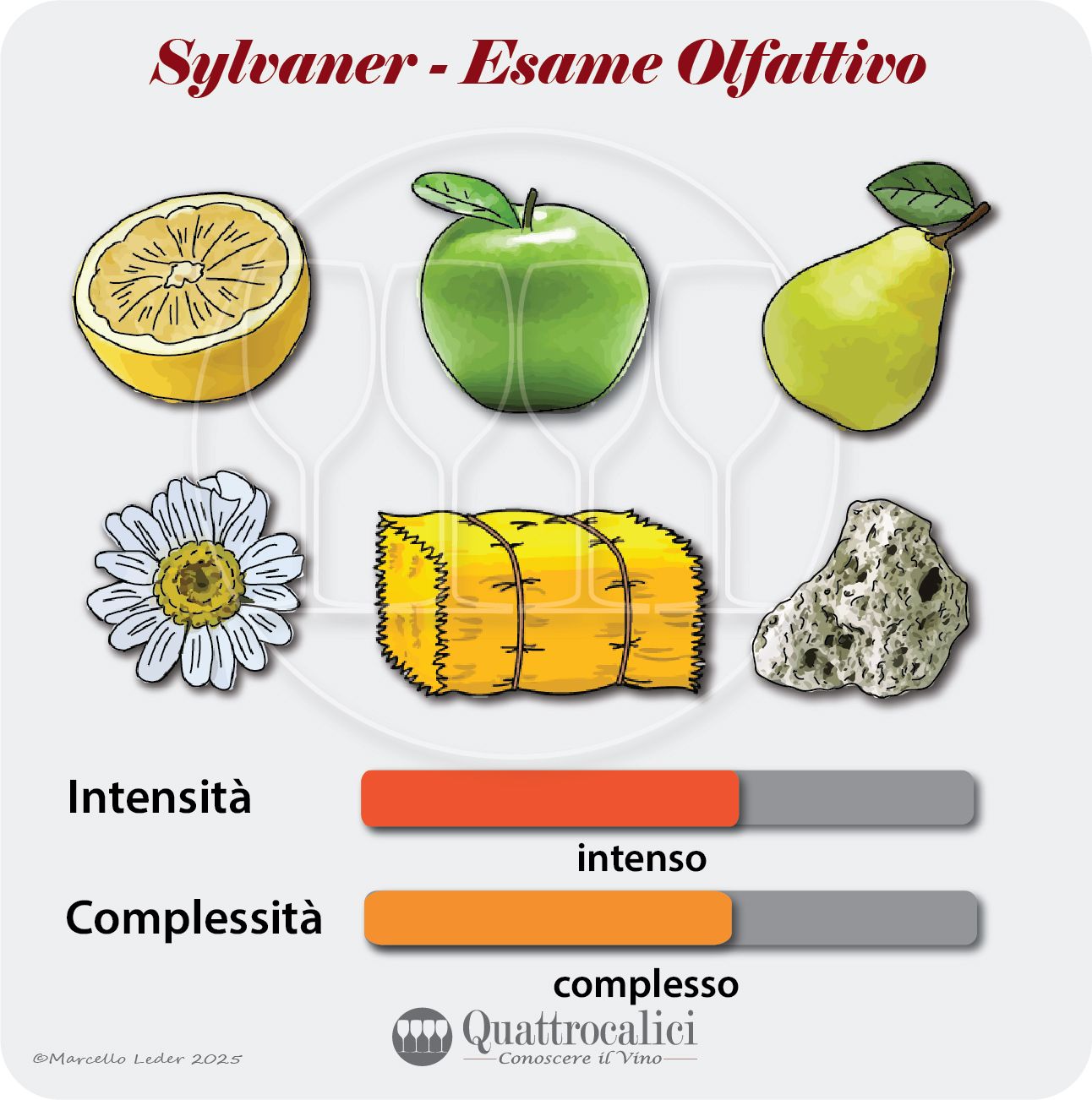 L'esame olfattivo dei vini Sylvaner