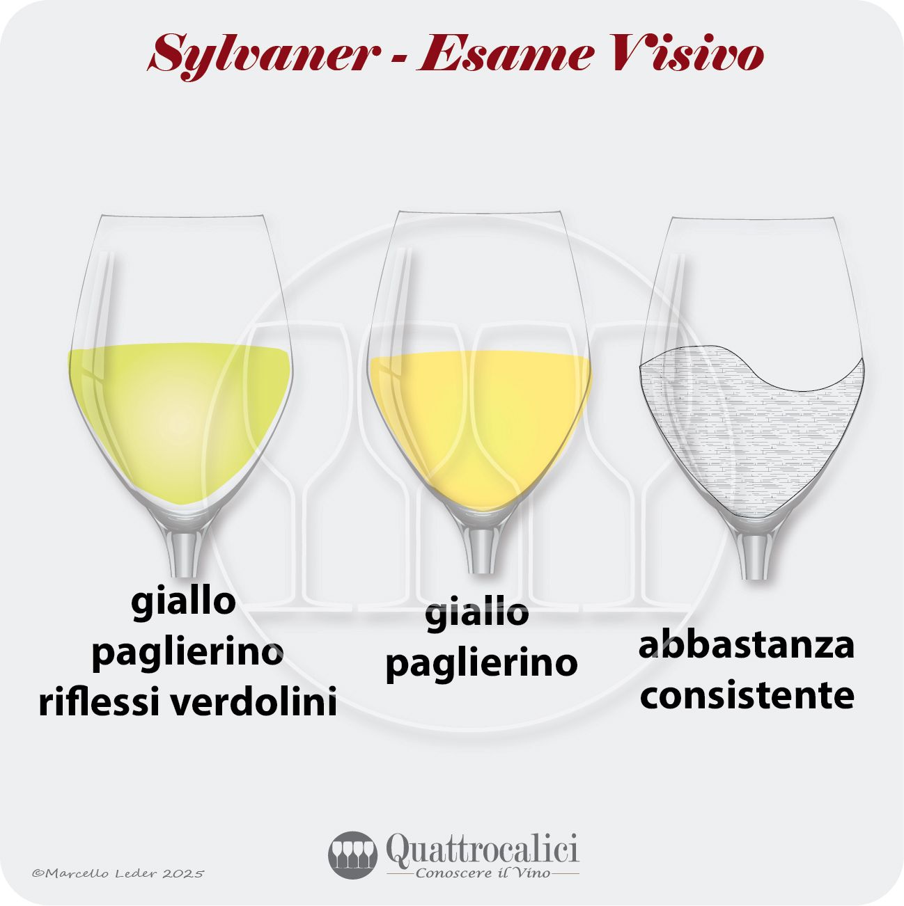 L'esame visivo dei vini Sylvaner