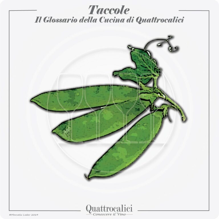 le taccole in cucina e con i vini