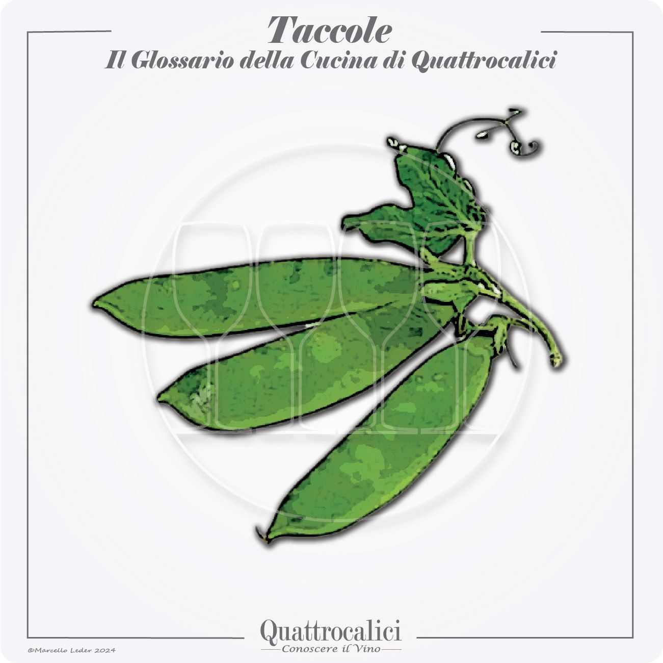 le taccole in cucina e con i vini