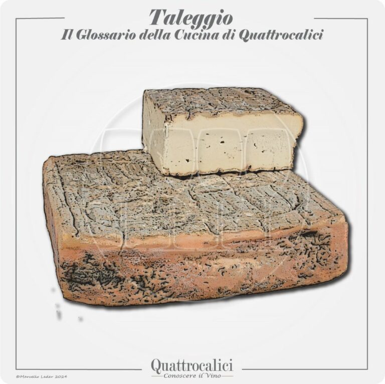Il Taleggio: il formaggio e i suoi vini in abbinamento