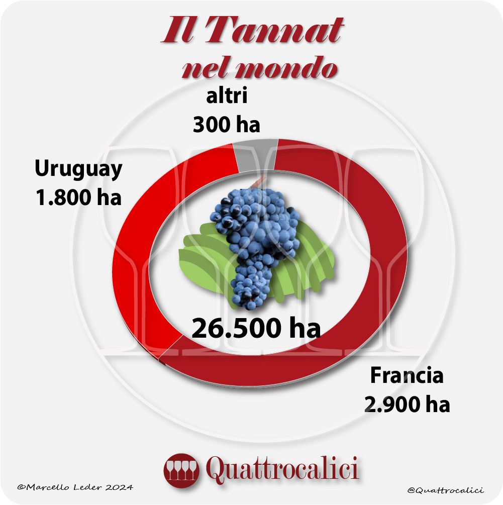 Il vitigno Tannat nel mondo