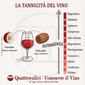 La Tannicitร del vino