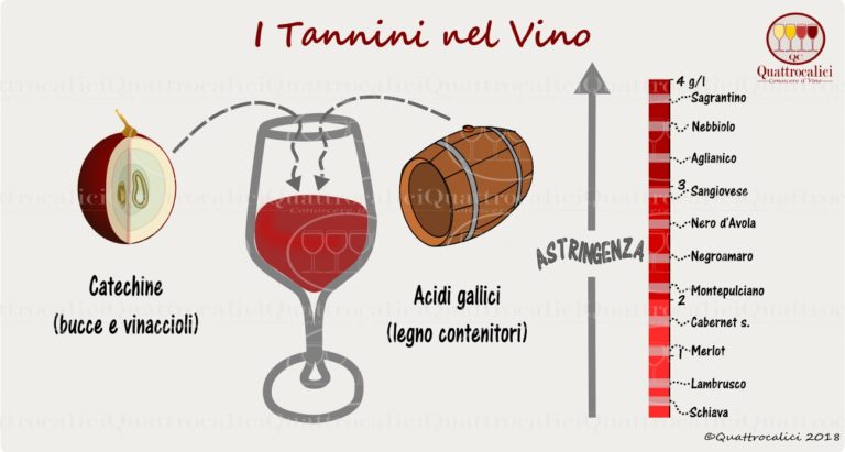 Tannicità e tannini nel vino