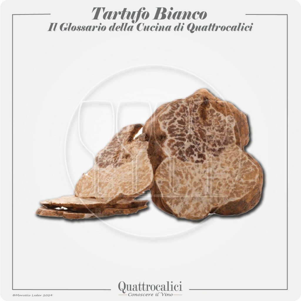 il tartufo bianco in cucina e con i vini