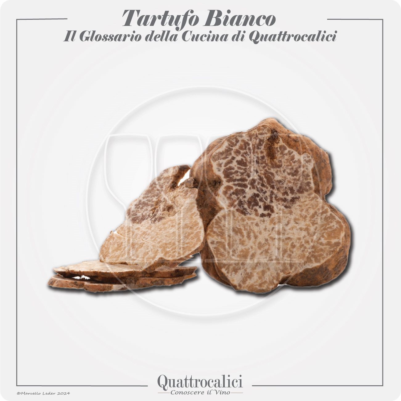 il tartufo bianco in cucina e con i vini