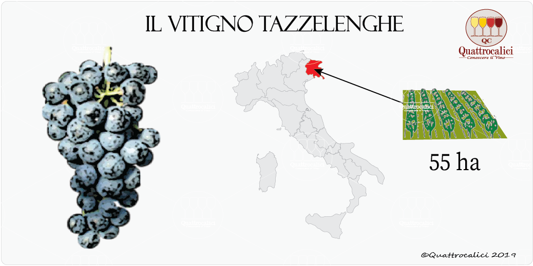 vitigno tazzelenghe
