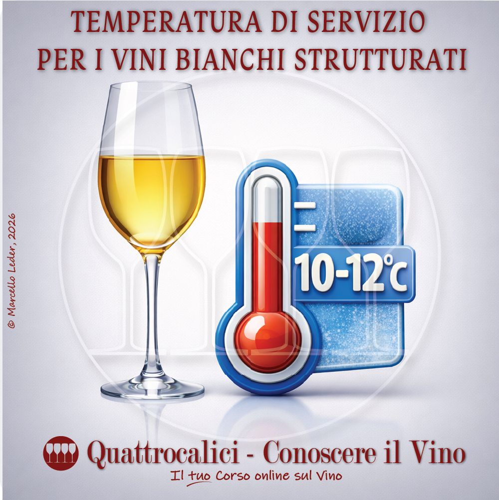 temperatura di servizio per i vini bianchi strutturati