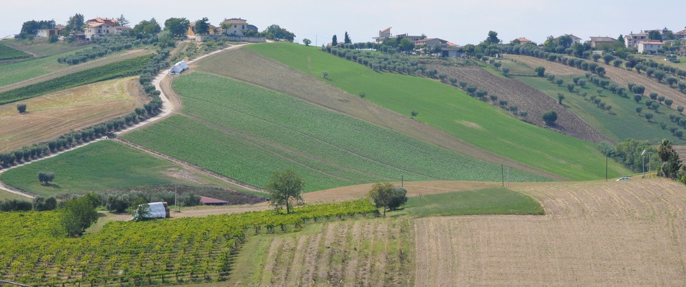 provincia teramo vino