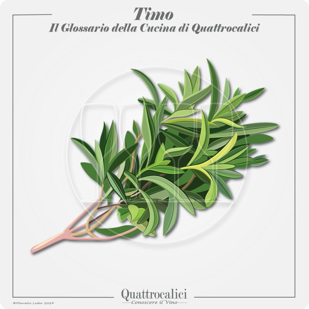 Il timo e l'abbinamento dei piatti ai vini