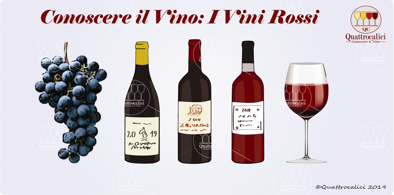 conoscere i vini rossi